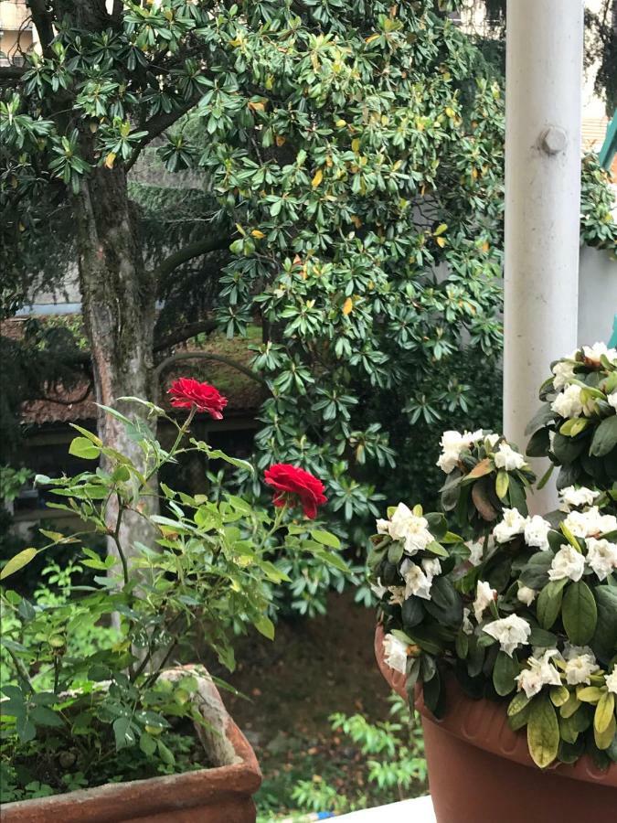 Casa Di Nonna Bed & Breakfast Верчели Екстериор снимка