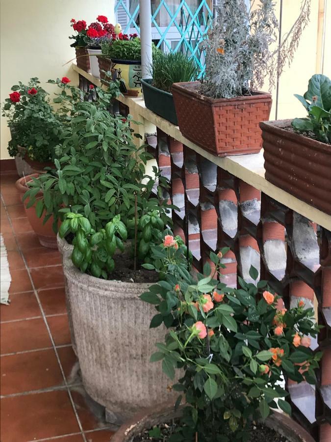 Casa Di Nonna Bed & Breakfast Верчели Екстериор снимка